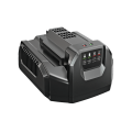EGO Ładowarka CH2100E 0